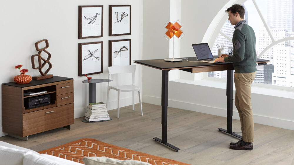 escritorio elevable o standing desk