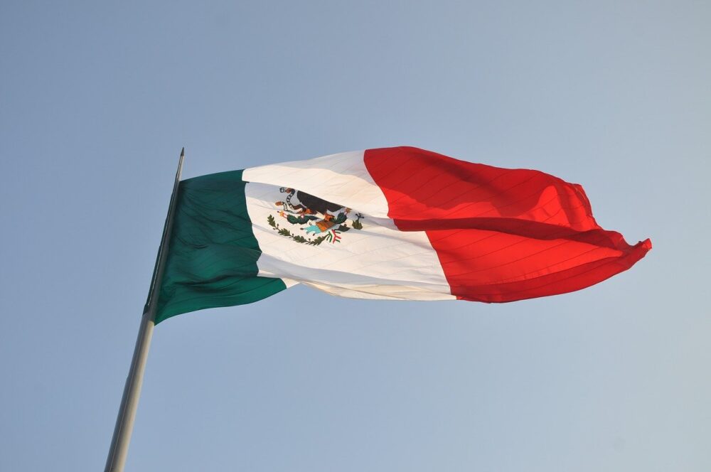 Motivos de la Revolución Mexicana