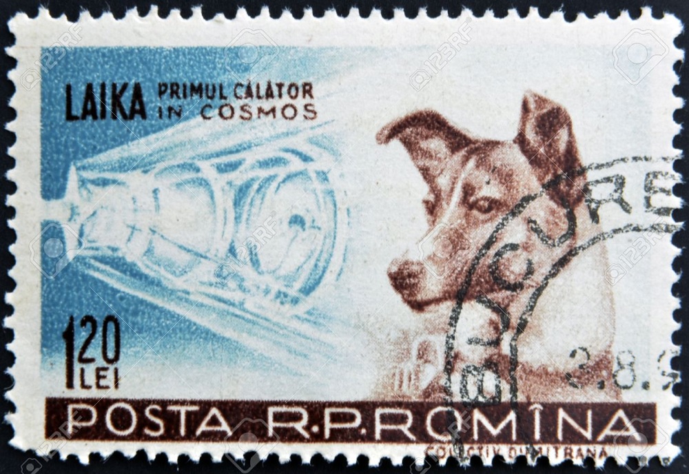 La perra Laika fue el primer ser vivo en viajar al espacio y fue enviada allí por la URSS